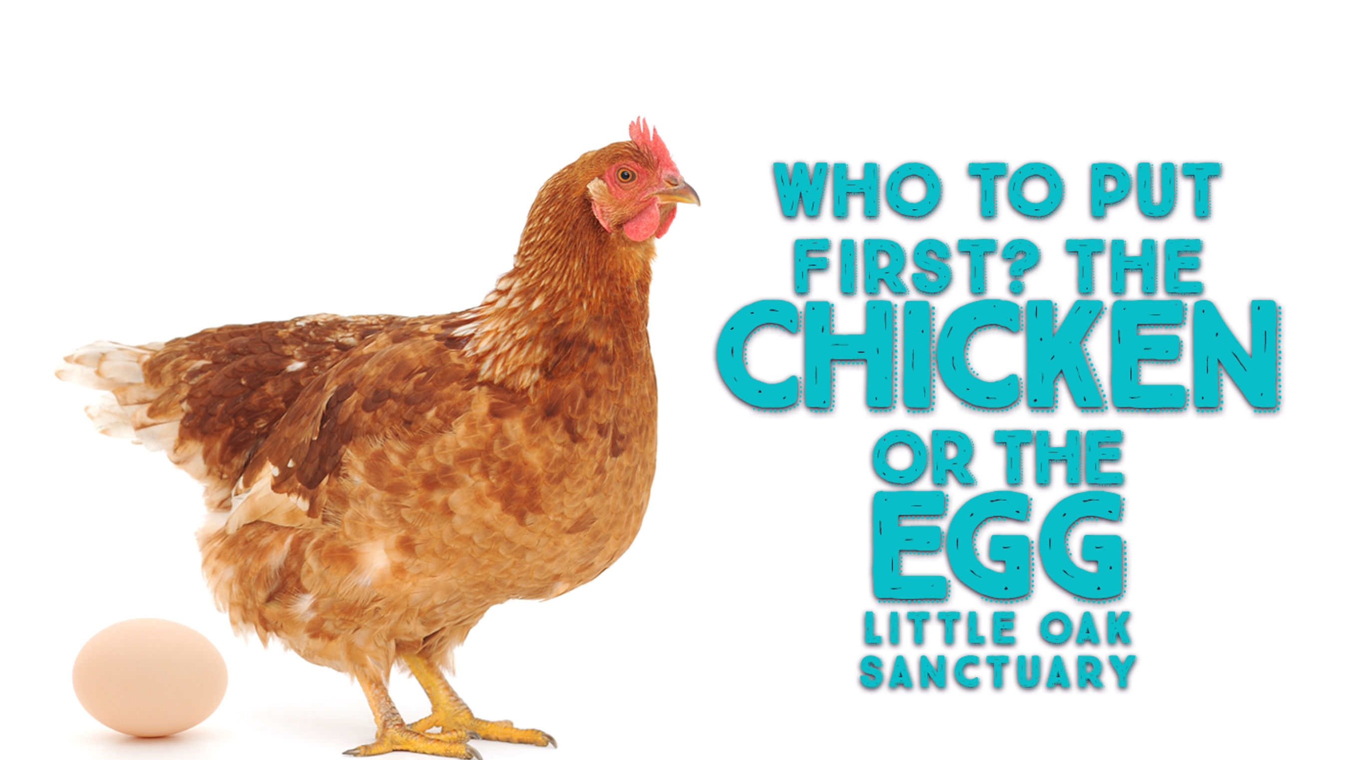 Chickens